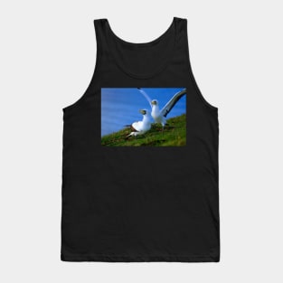 Gannets on Norfolk Island Tank Top